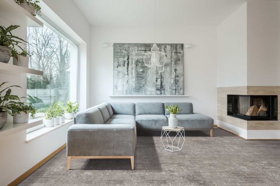 grey patterned wall to wall carpet with open shelving and plants